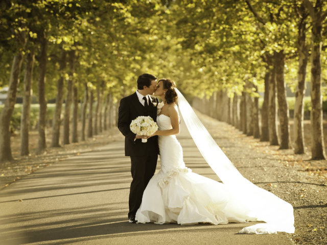 A newly married couple kissing on a tree-lined street